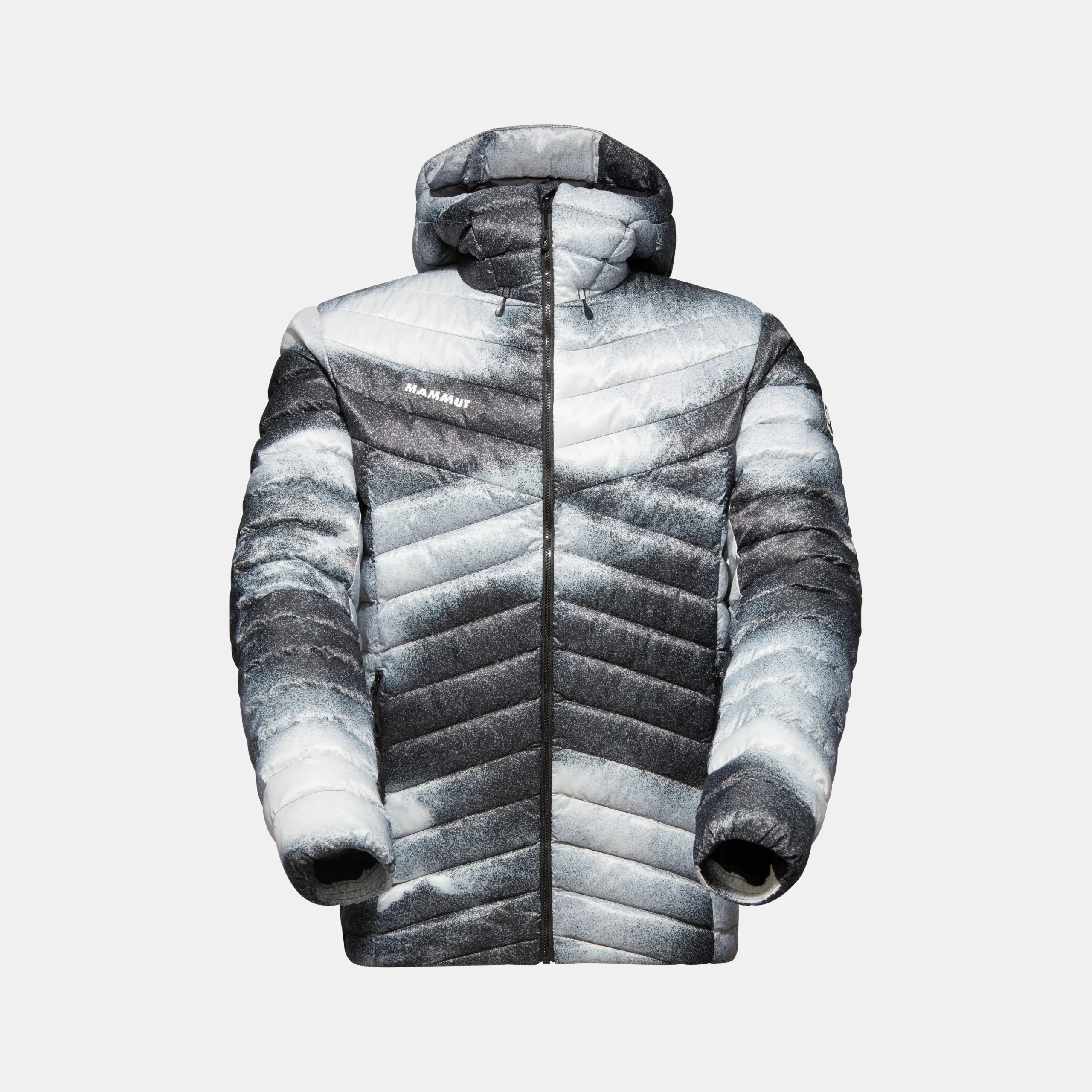 Albula IN Hooded Jacket Men Grain