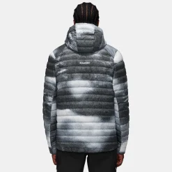 Albula IN Hooded Jacket Men Grain