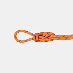 9.0 Alpine Sender Dry Rope