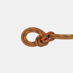 9.5 Crag Dry Rope