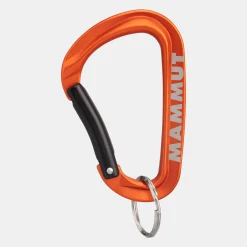 Mammut Mini Carabiner Workhorse Keylock L