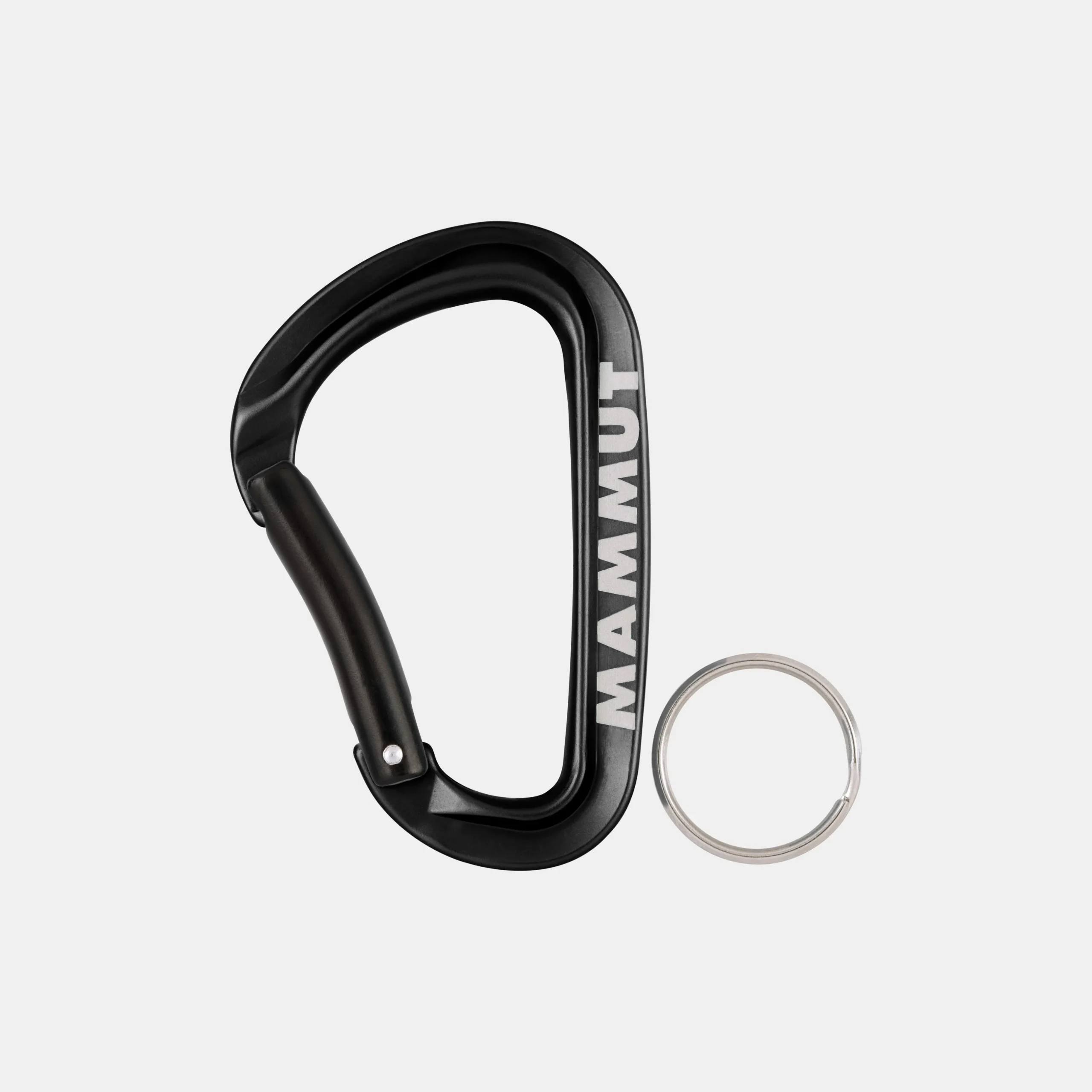 Mammut Mini Carabiner Workhorse Keylock L
