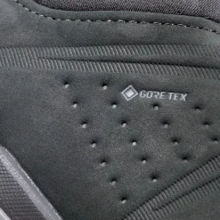 Mercury IV Low GTX Men
