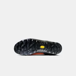 Taiss Pro High GTX Men