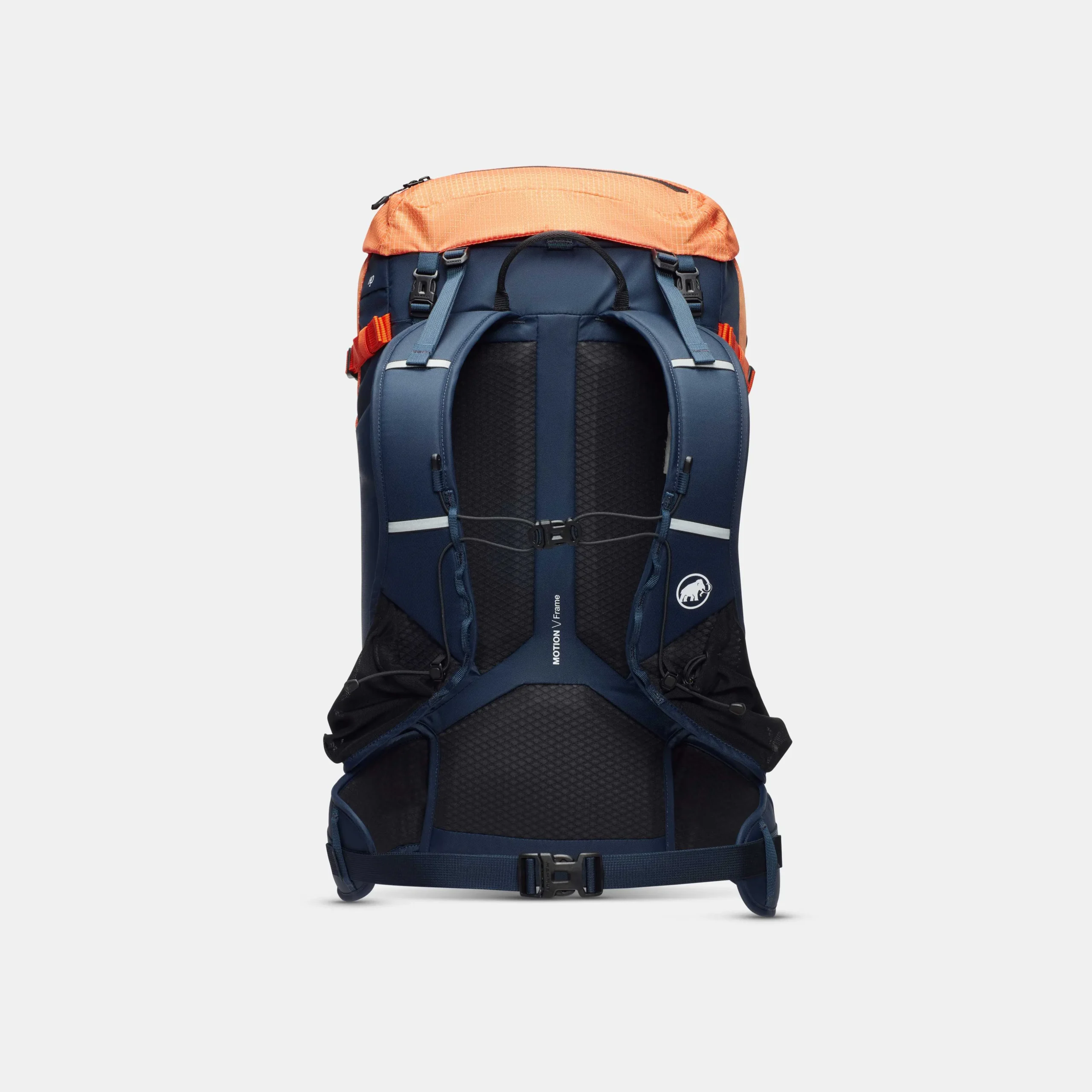 Trion 38