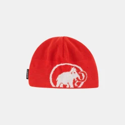 Tweak Beanie