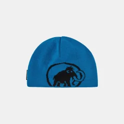 Tweak Beanie