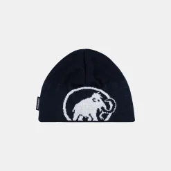 Tweak Beanie